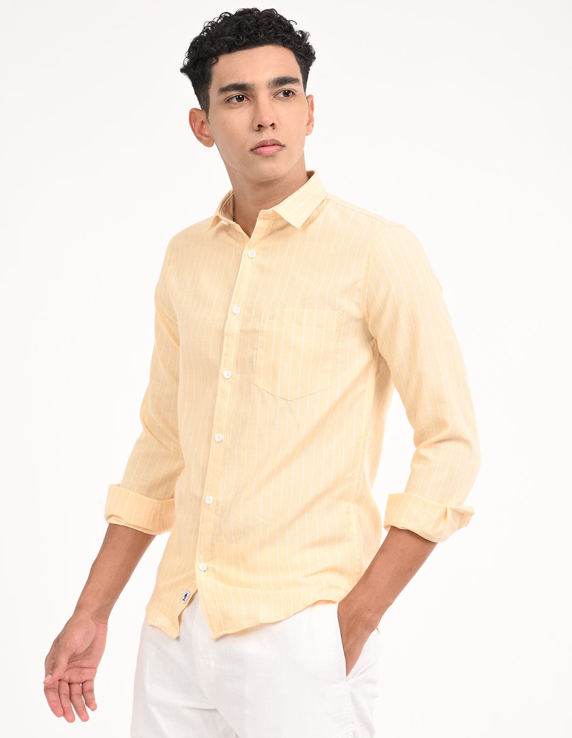 Men's Slim Fit Stripes Full Sleeves Casual Shirt
