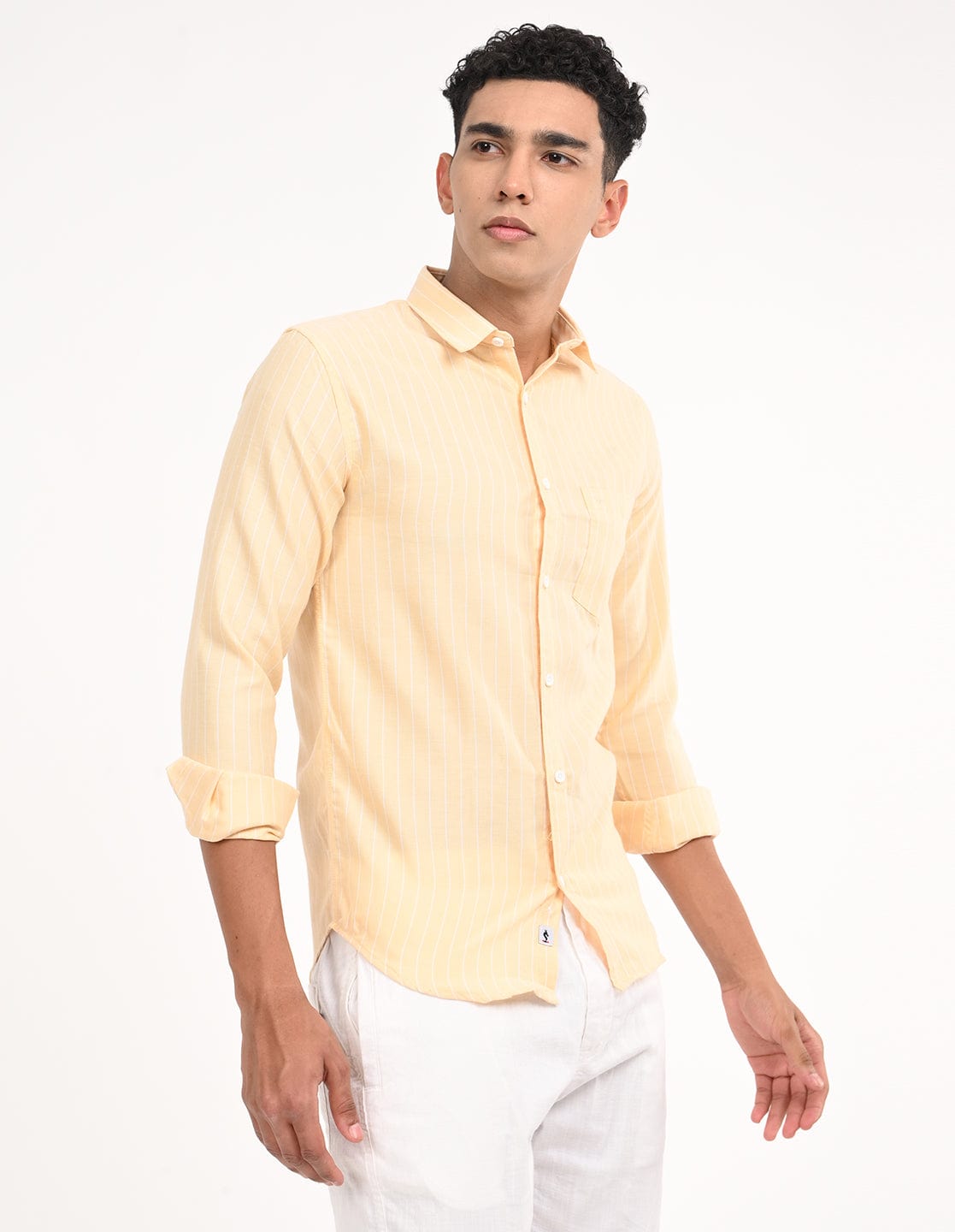 Men's Slim Fit Stripes Full Sleeves Casual Shirt