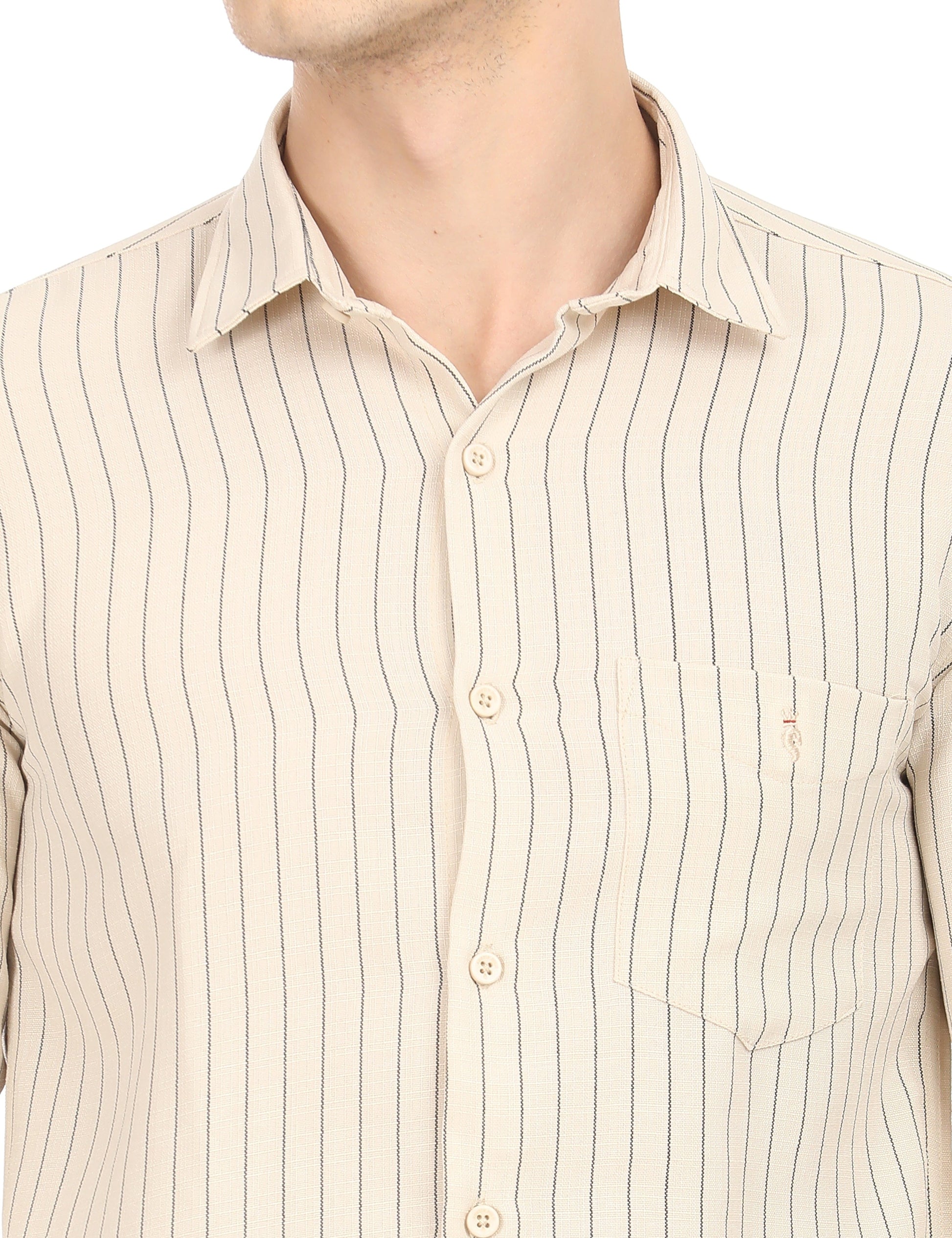 Men's Slim Fit Stripes Full Sleeves Casual Shirt