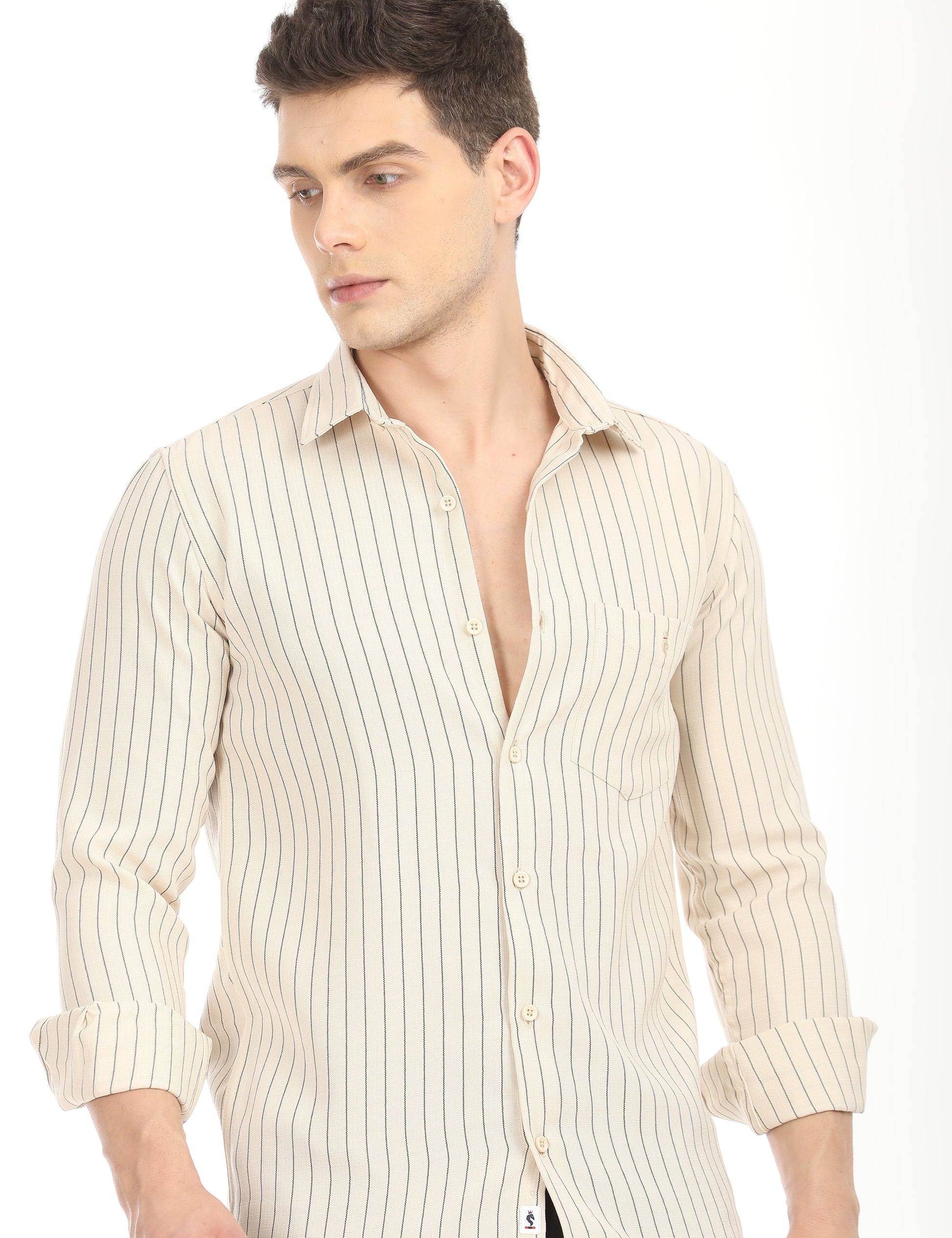 Men's Slim Fit Stripes Full Sleeves Casual Shirt