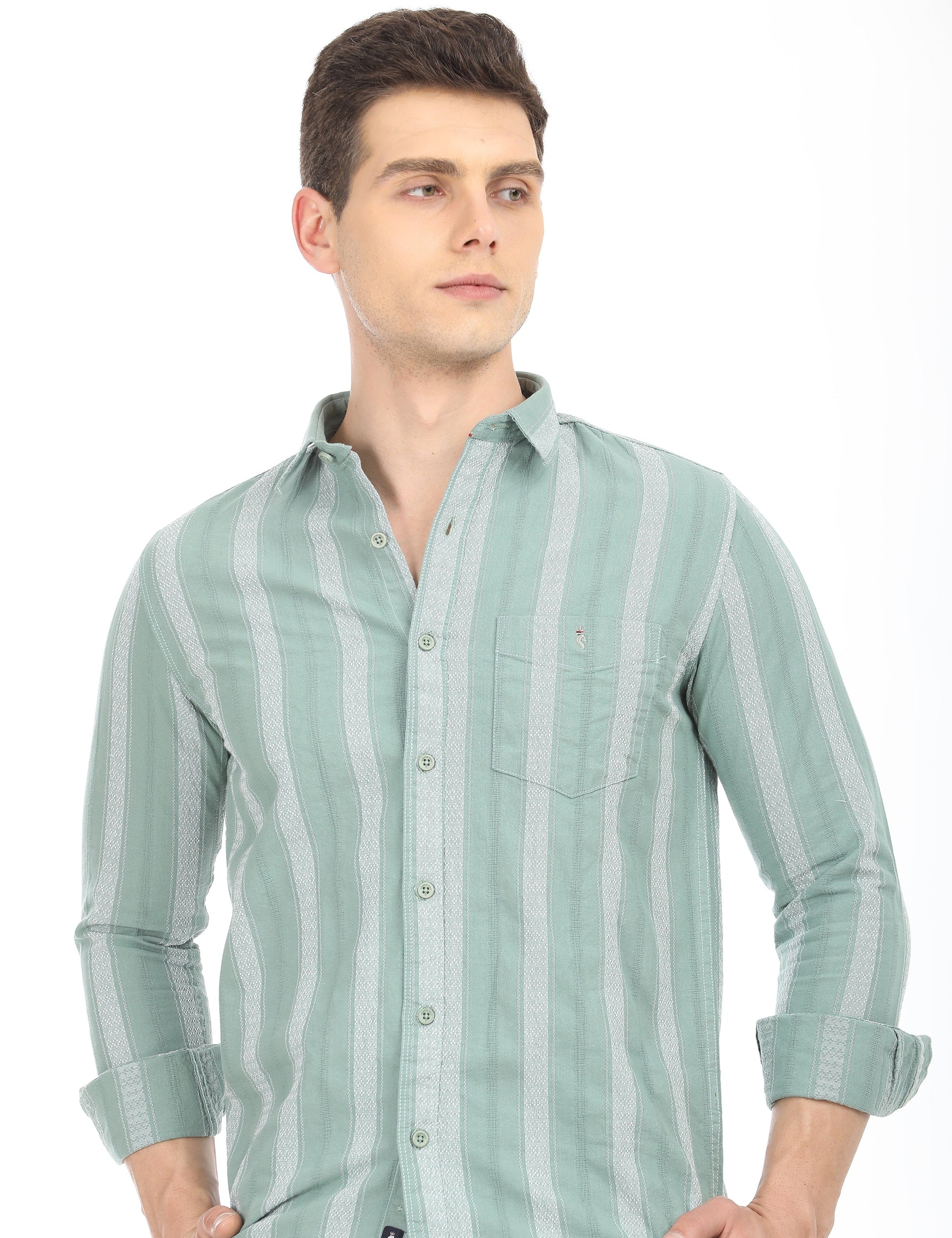 Men's Slim Fit Stripes Full Sleeves Casual Shirt